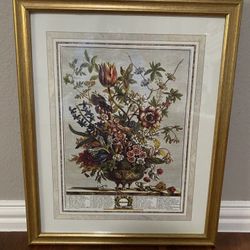 Vintage 1964 Robert Furber Twelve Months Of Flowers 💐 Framed Print 18”x22” (February) 