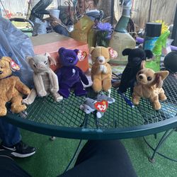 Beanie Baby’s