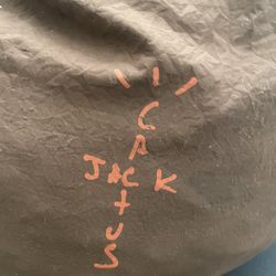Travis Scott Cactus jack Bean Bag 