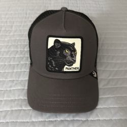 Goorin Bros gray panther hat