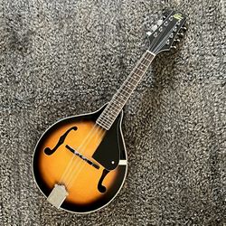 Rogue RM-100A Mandolin
