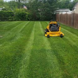 Grass cutting