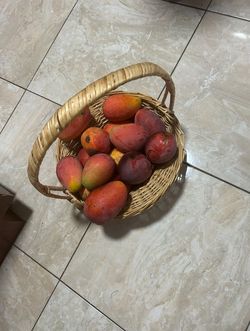 Abuelas Mango Tree 3 For 5$