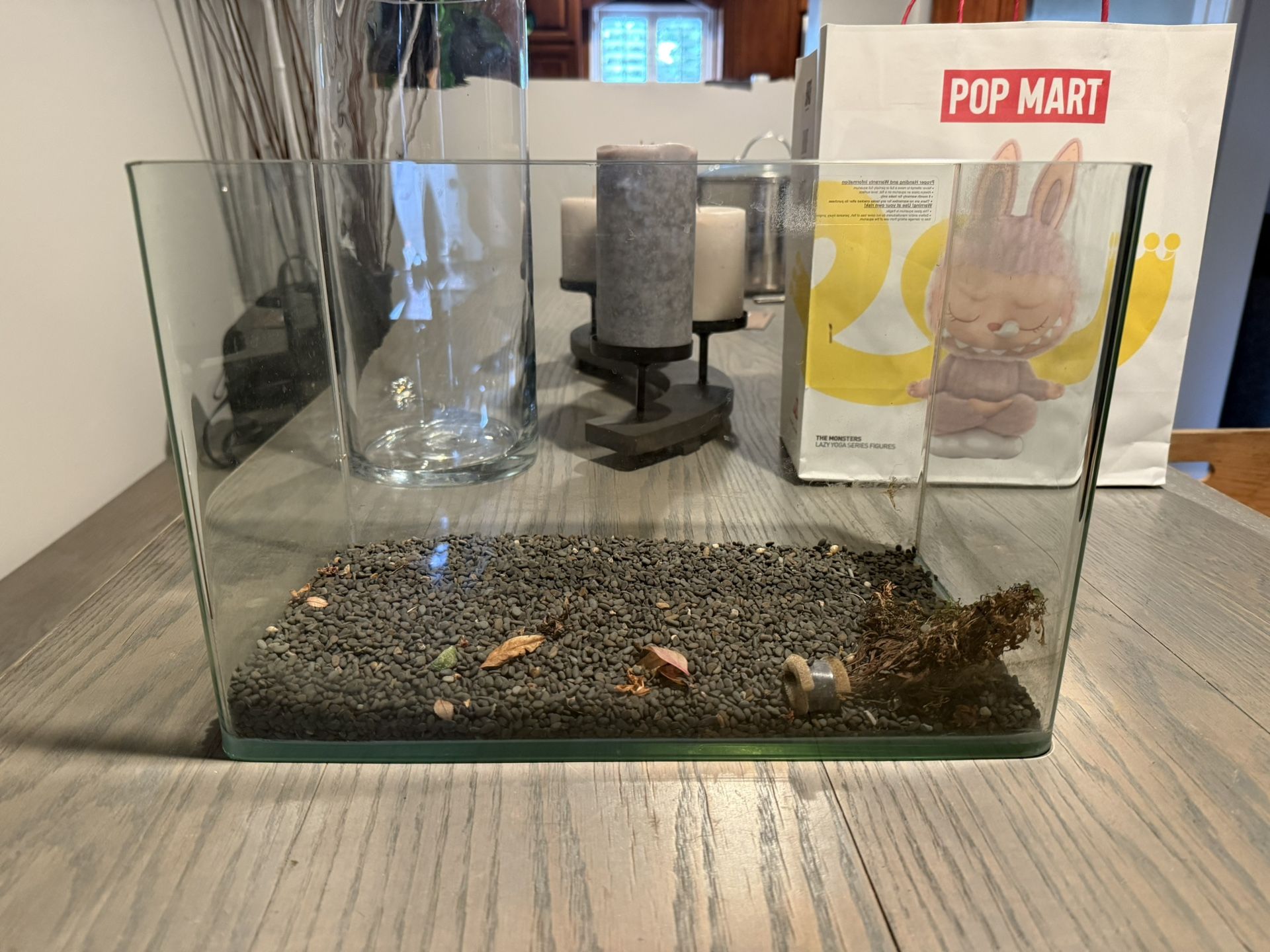 Glass Fish Tank