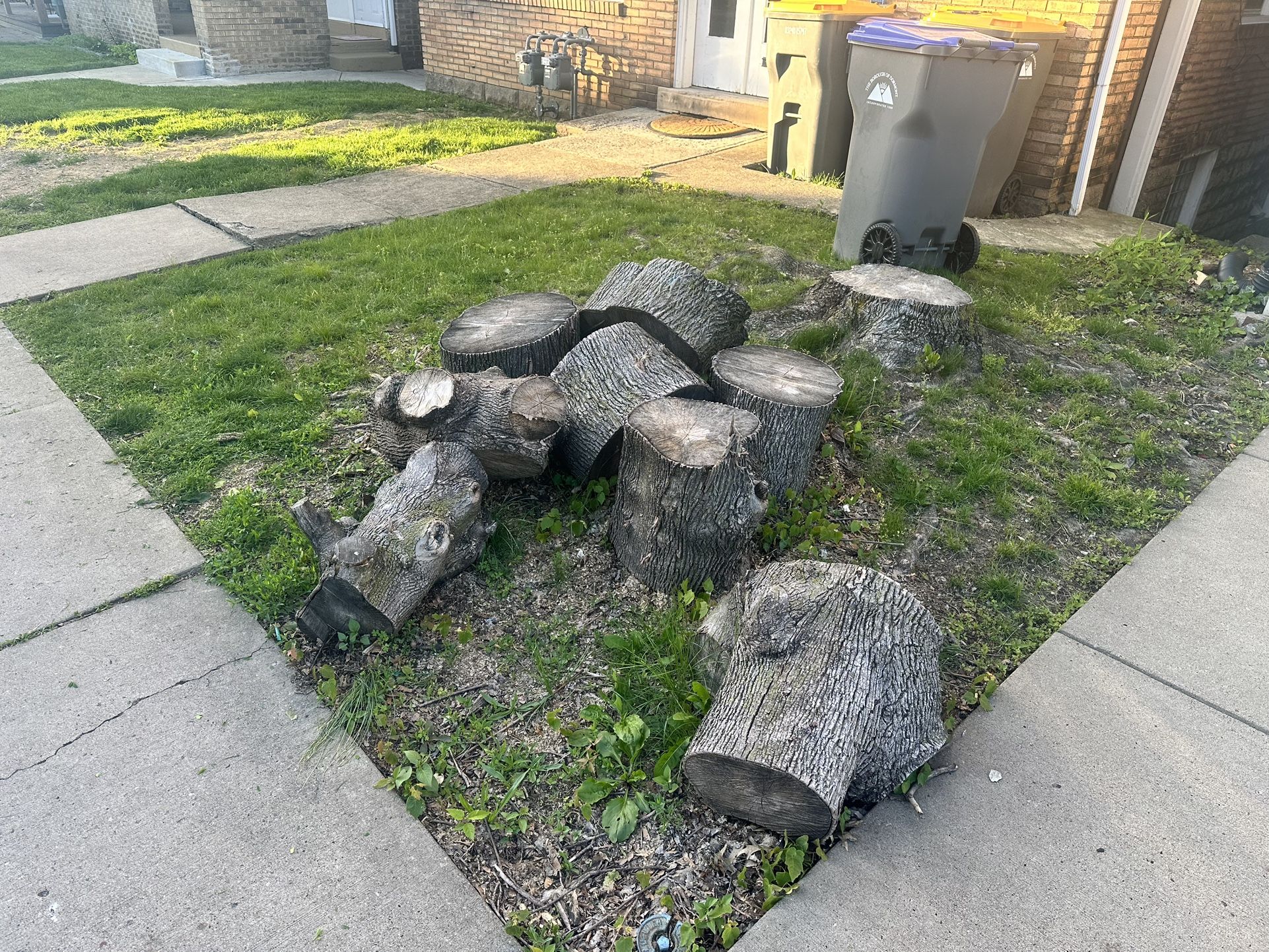 Free Logs