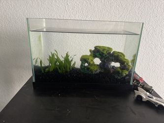 Small Glass Fish Tank with Decorations and Gravel