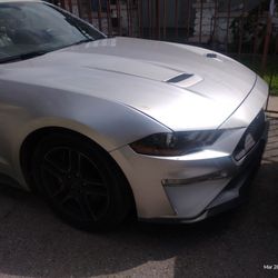 2019 Mustang 