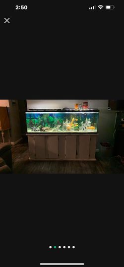 Aquarian 125 Gallon 6ft
