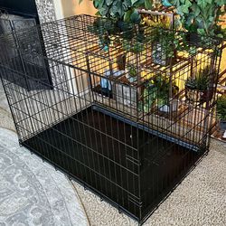 Excellent Condition Folding Dog Crate For Large Dogs