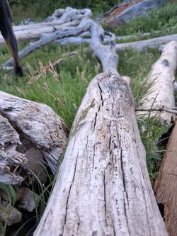 Landscaping decor
