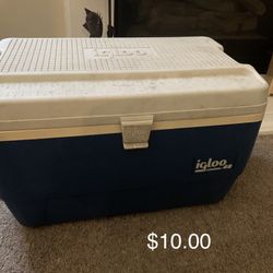 Cooler