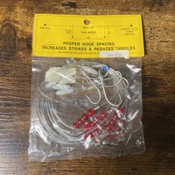 Main Line 5 Fish Hooks W/swivel 