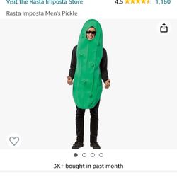 pickle costume 