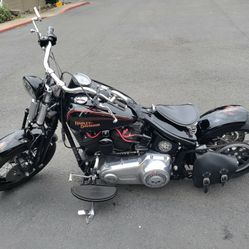 Harley Davidson Crossbones Flstsb 