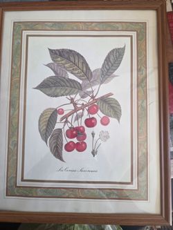 Wall Decorations