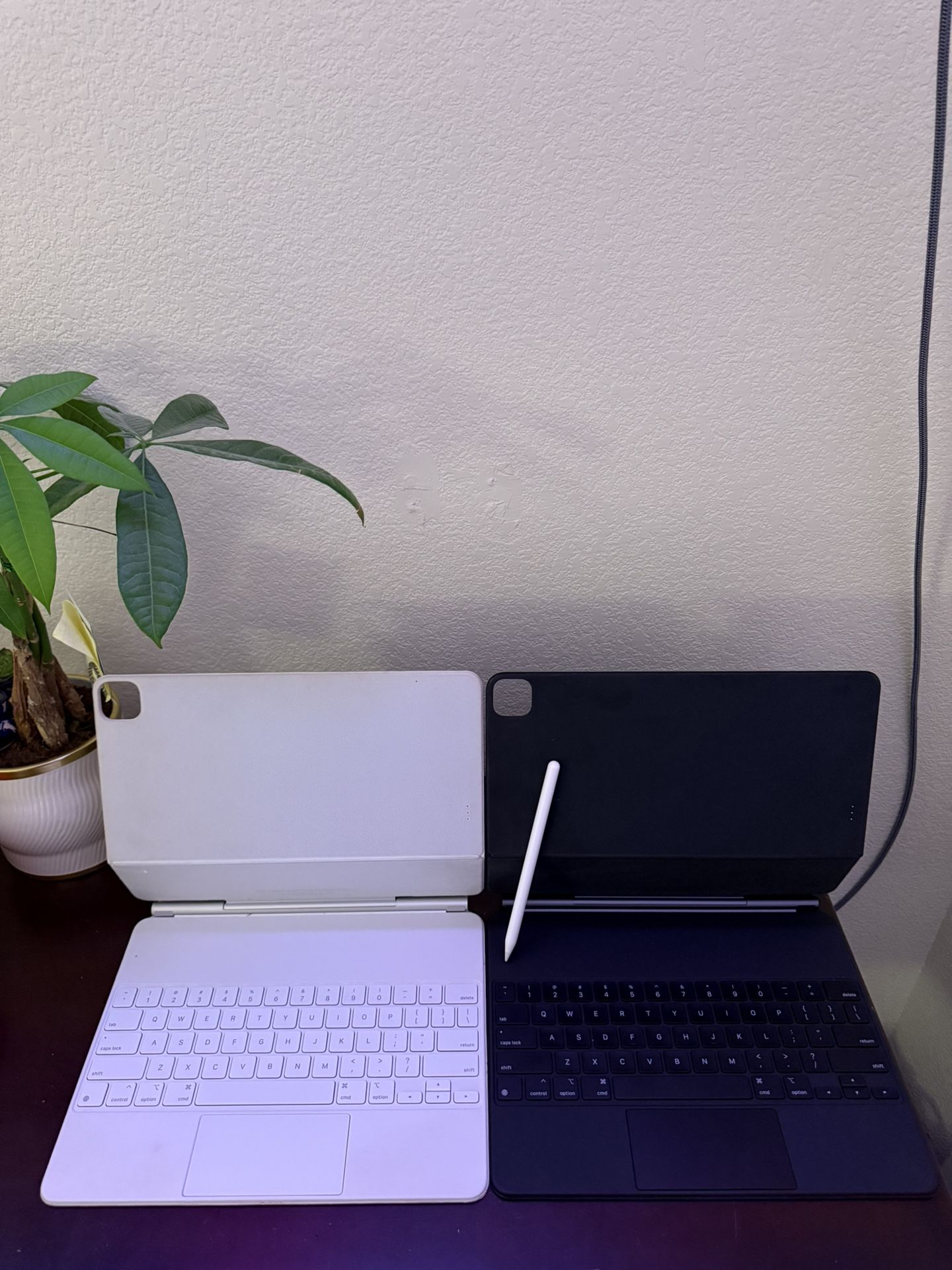 Apple Magic Keyboard 12.9 + Apple Pencil
