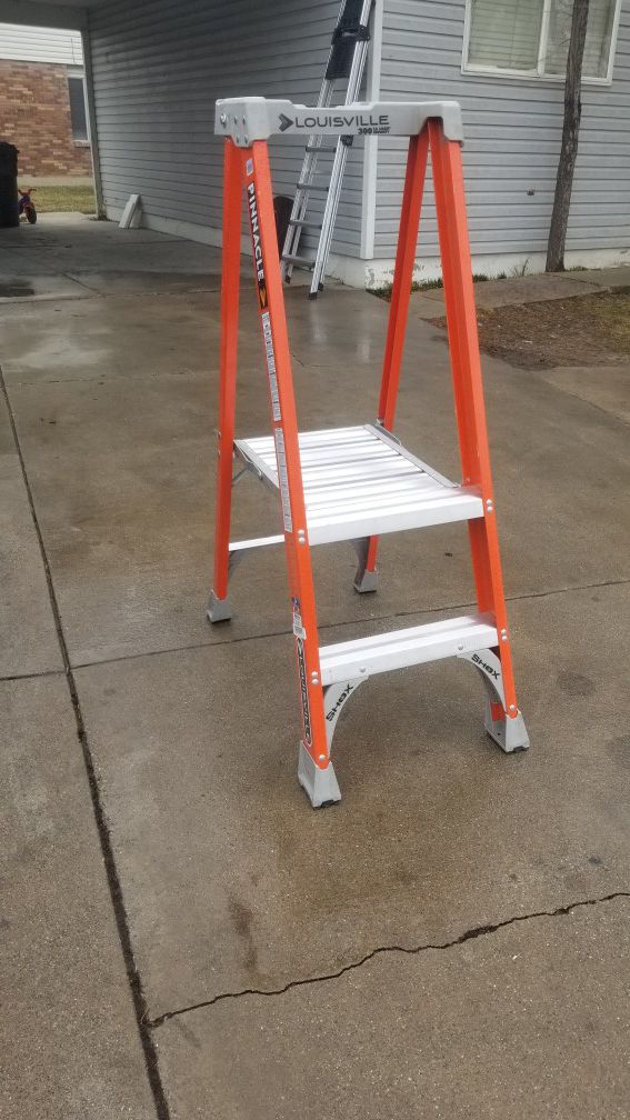 New 2 step ladder $50