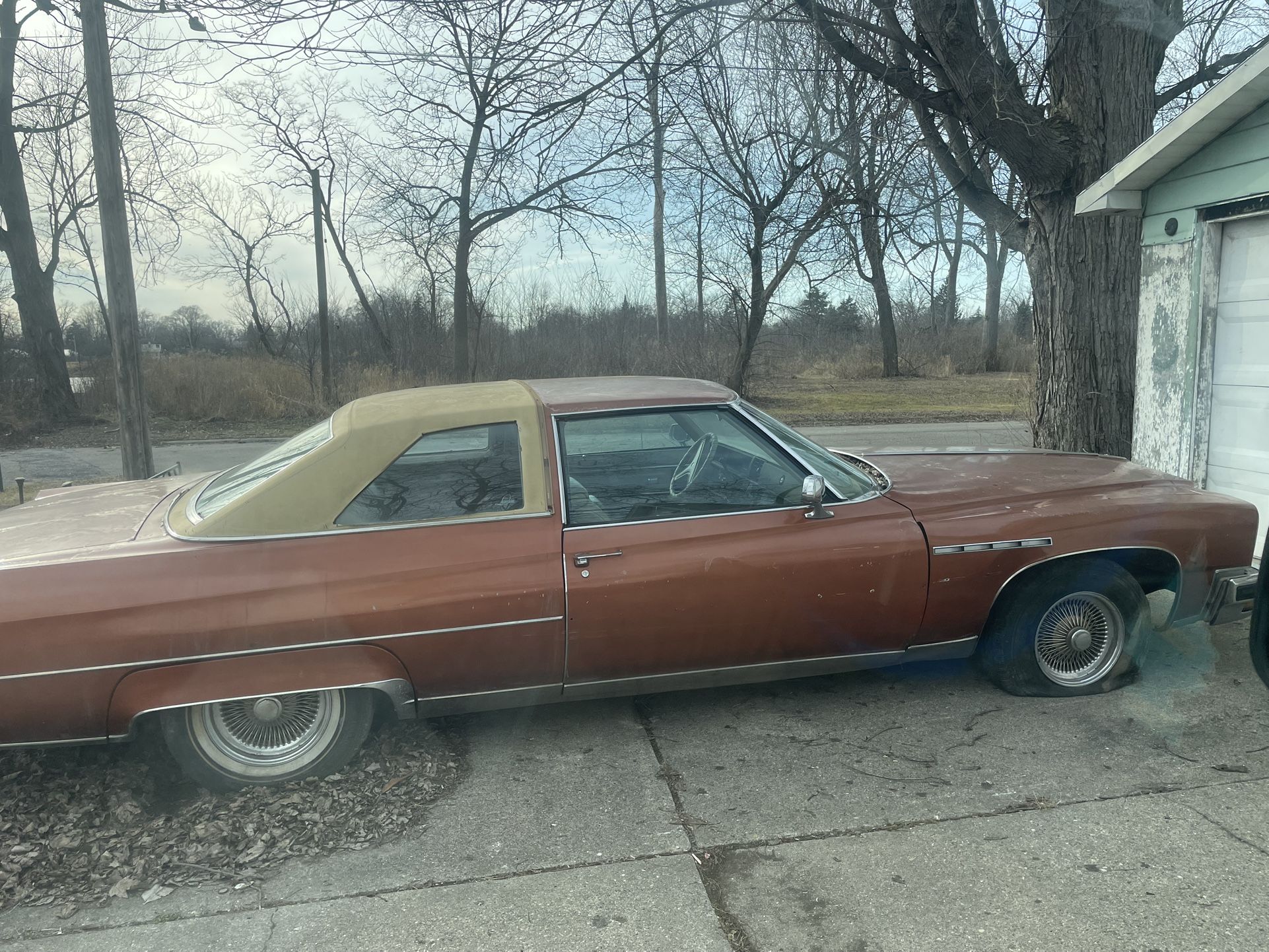 1975 Electra 225