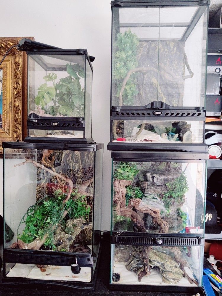 Reptile Cage And Toy Gecko Included 