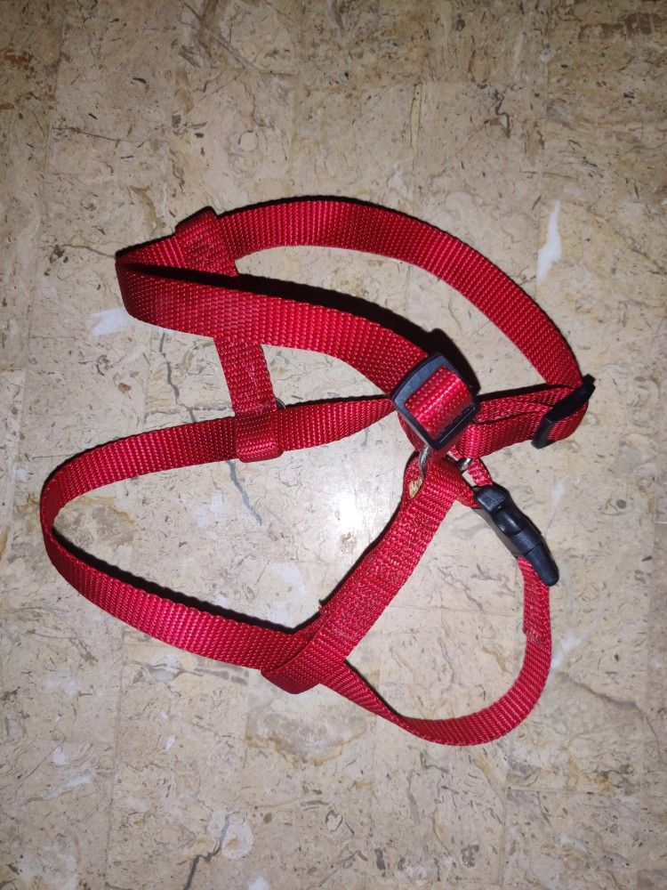 Used Red Medium Size Dog Harness