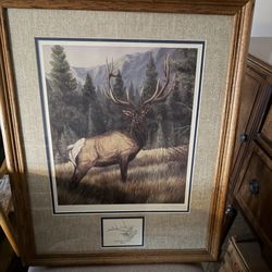 Jean S Gasser / Unbroken Spirit “Elk” 