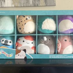 BRAND NEW Squishmallows In Box 