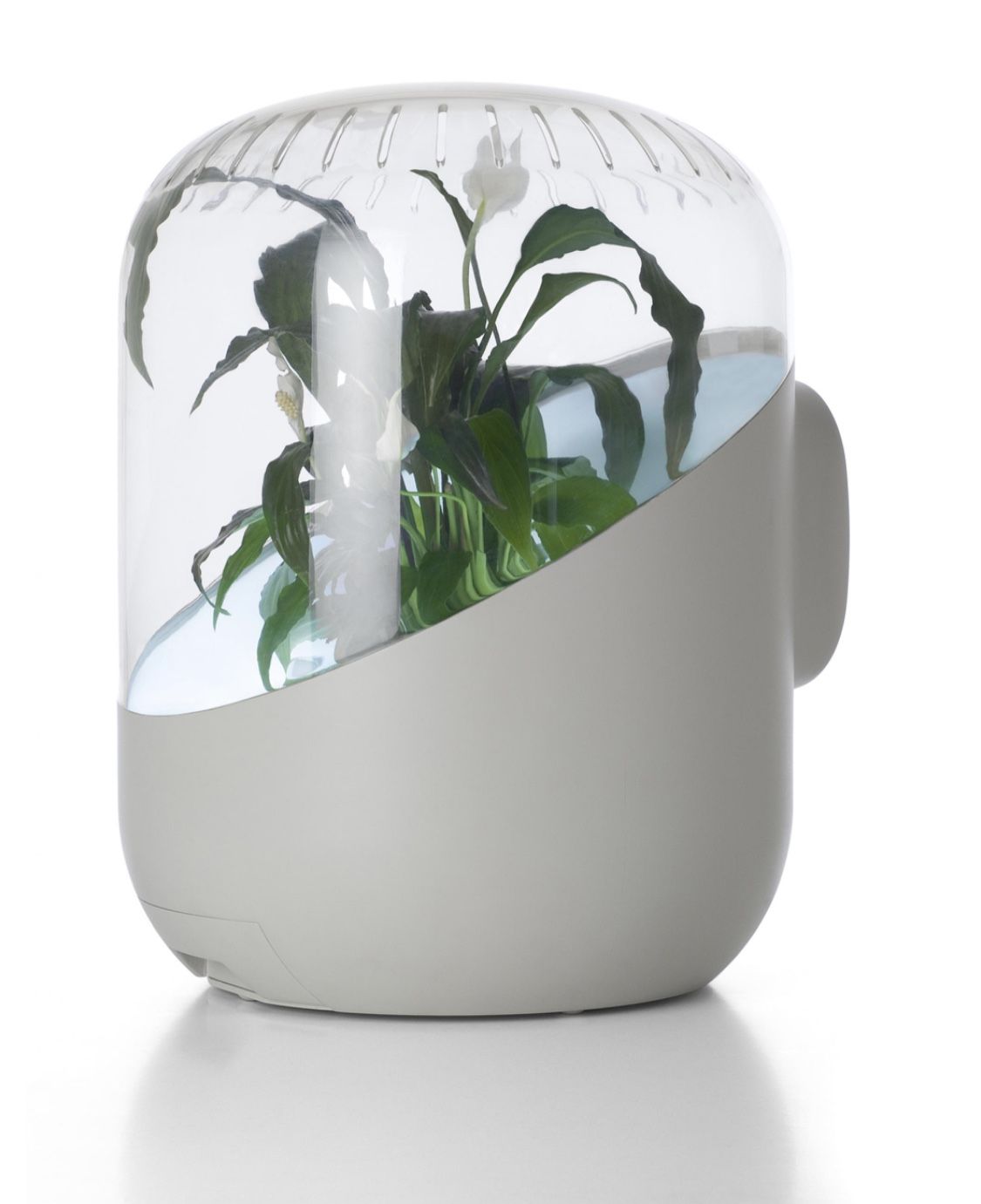 MATHIEU LEHANNEUR Andrea, Living Air Purifier