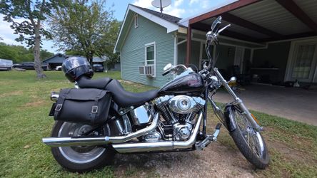 2009 softail custom harley Davidson