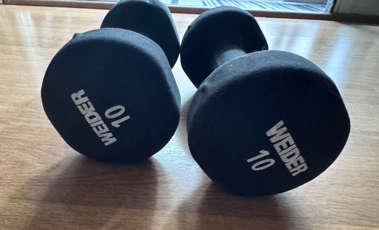 Weider 10 lb Dumbbells Weights Gym Workout 