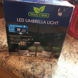 umbrella light for canopy