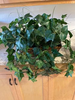 Planta artificial