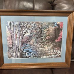 Scenic Picture Frame