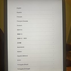 iPad Mini