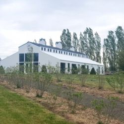 Wedding Arrangements And Catering Available