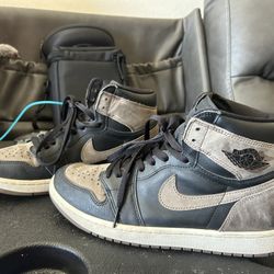 Air Jordan Retro Palomino