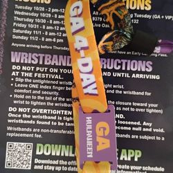 Ticket to Hulaween Music Festival - 4 Day GA Camping Ticket / Bracelet  