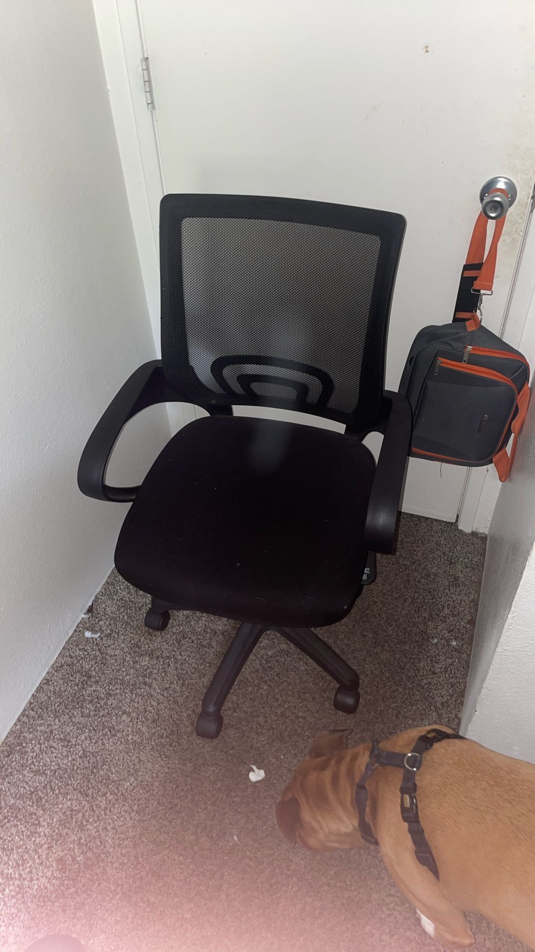 Rolling Office Chair 