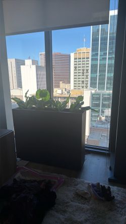 Indoor/ outdoor planter