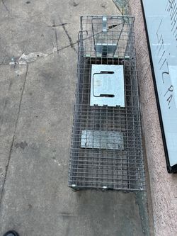 Havahart trap