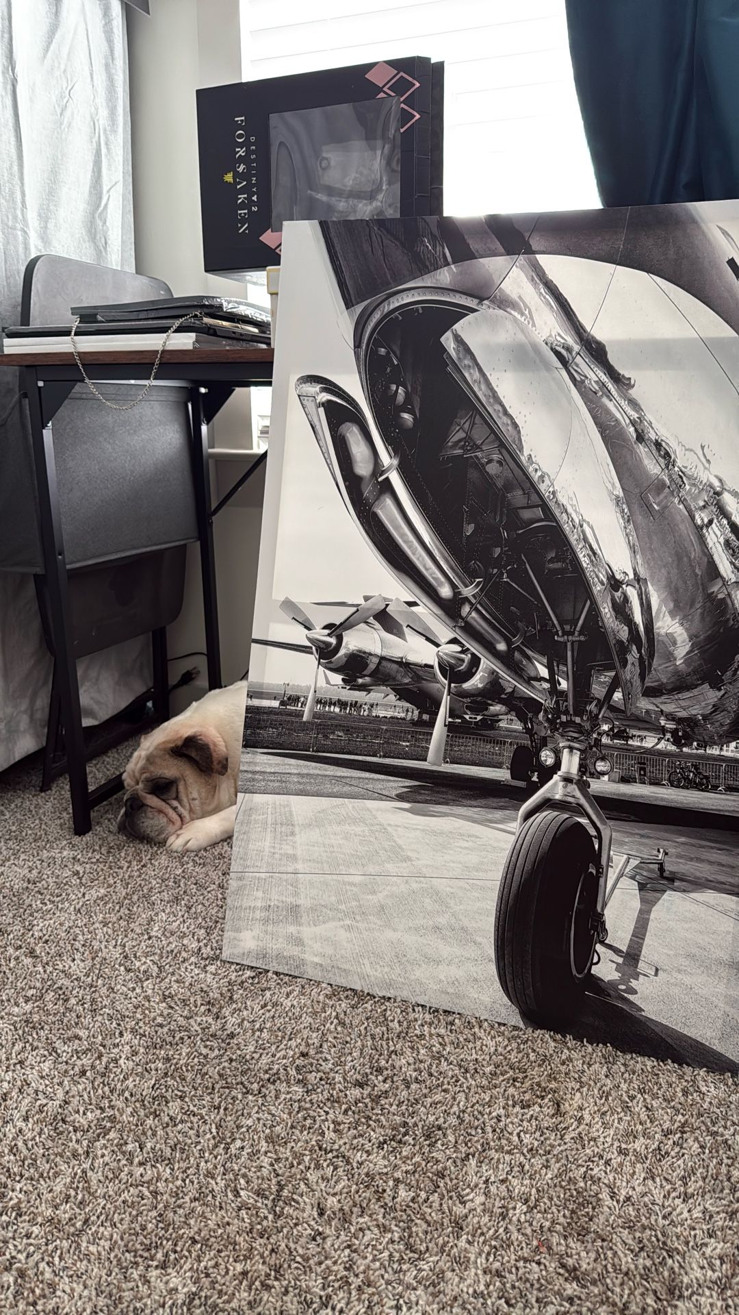 3’X2’ long vintage aircraft canvas print.
