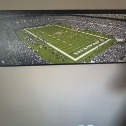 Ravens Stadium Wall Art 