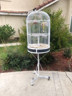 Bird cage
