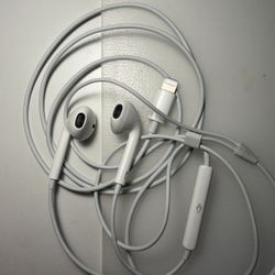 Apple Earbuds (Lightning) - Like New Condition 