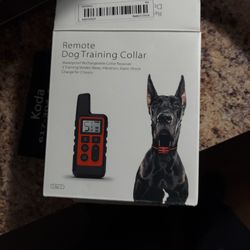Dog Training Collar