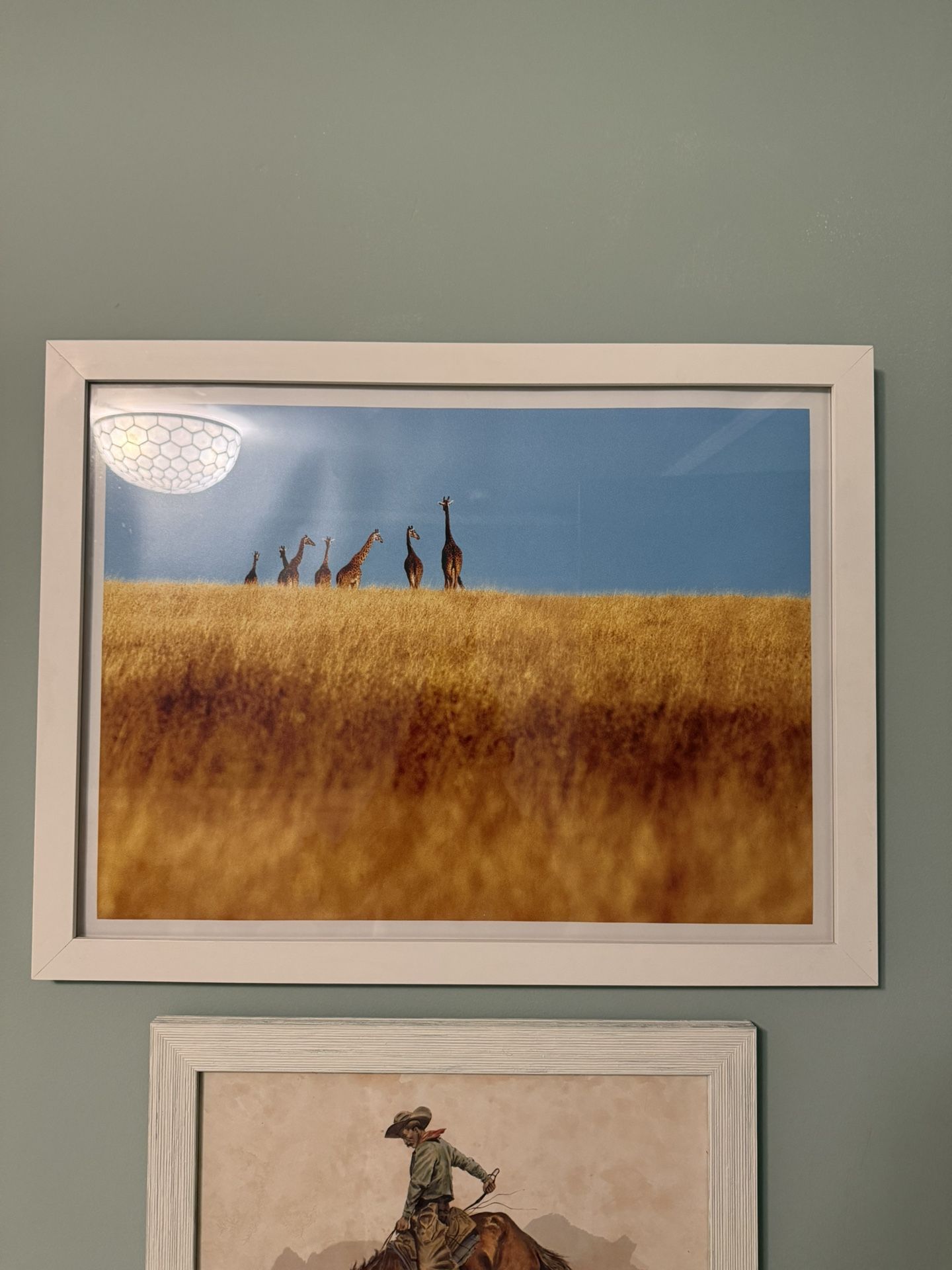 Giraffe Framed Photo