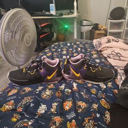 LeBron James Basketball Shoes 