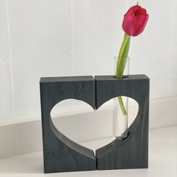 Heart Vases/Propagation 