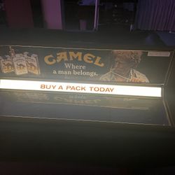 Camel Light Up Sign