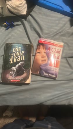 Chapter books