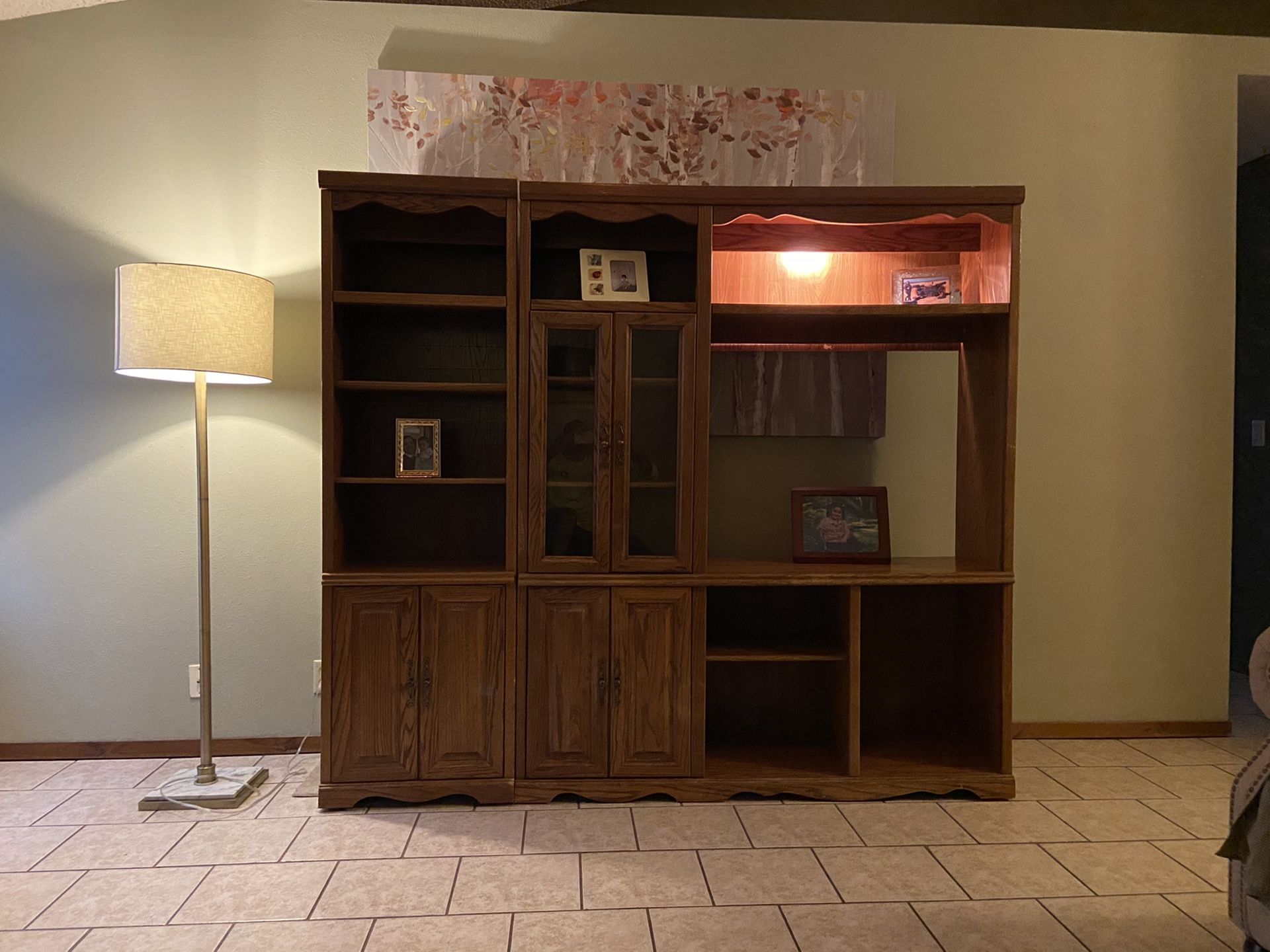 Entertainment center/book shelf